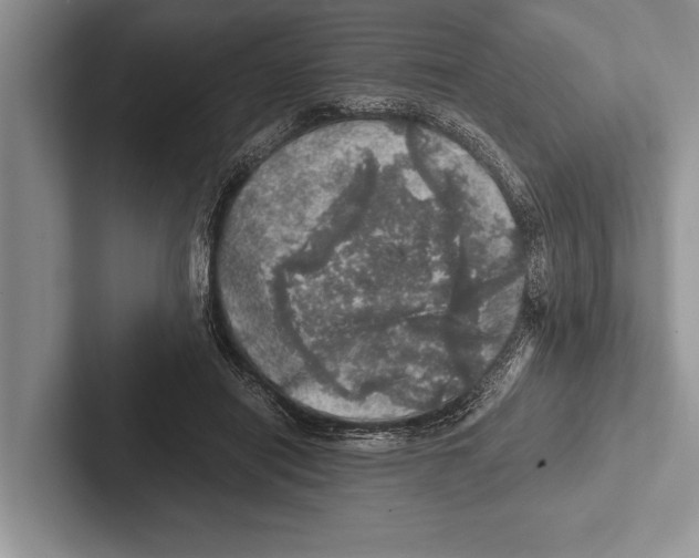 X0000102520454200809051447