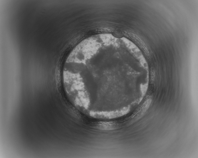 X0000102520457200809051447