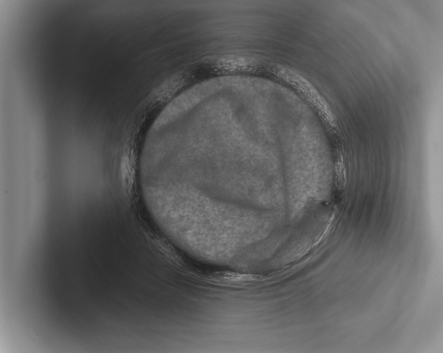 X0000102520458200809051447