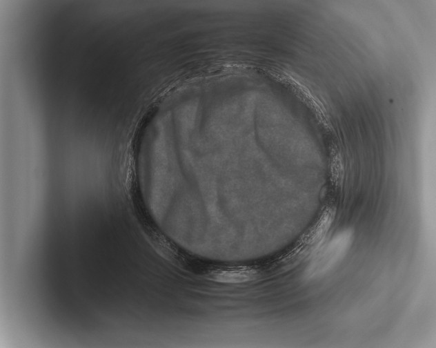 X0000102520459200809051447