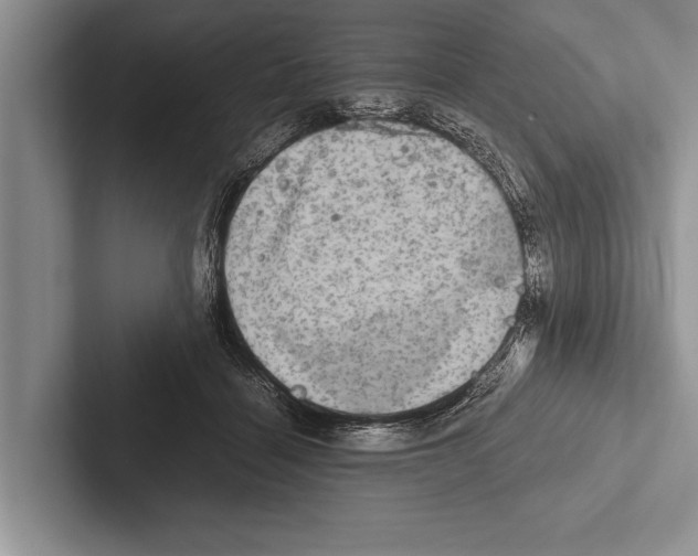 X0000102520460200809051447