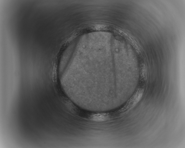 X0000102520461200809051447