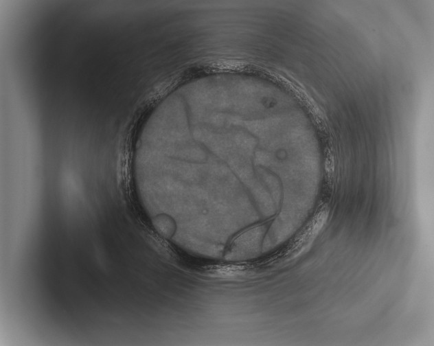 X0000102520462200809051447