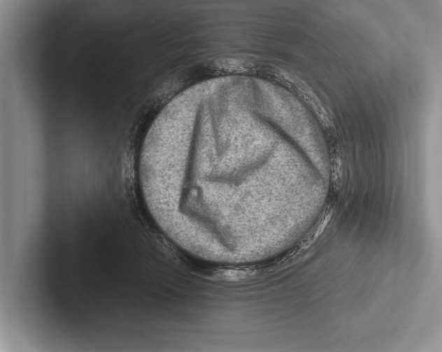 X0000102520466200809051447