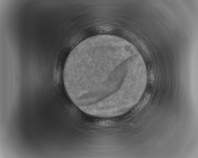 X0000102520468200809051447