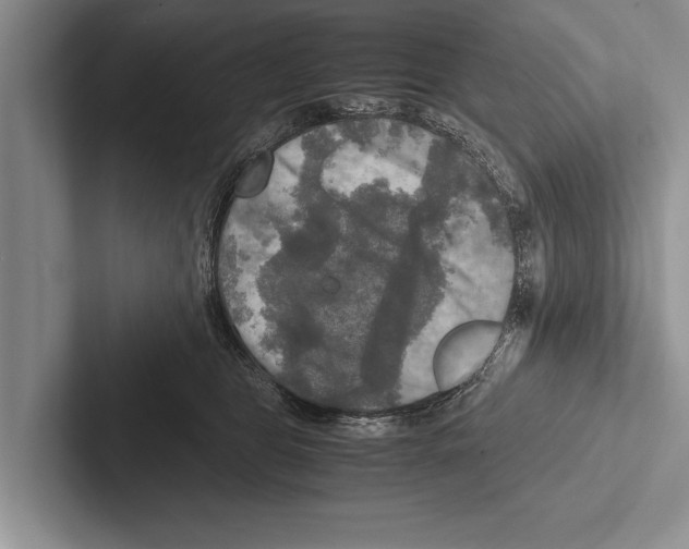 X0000102520469200809051447