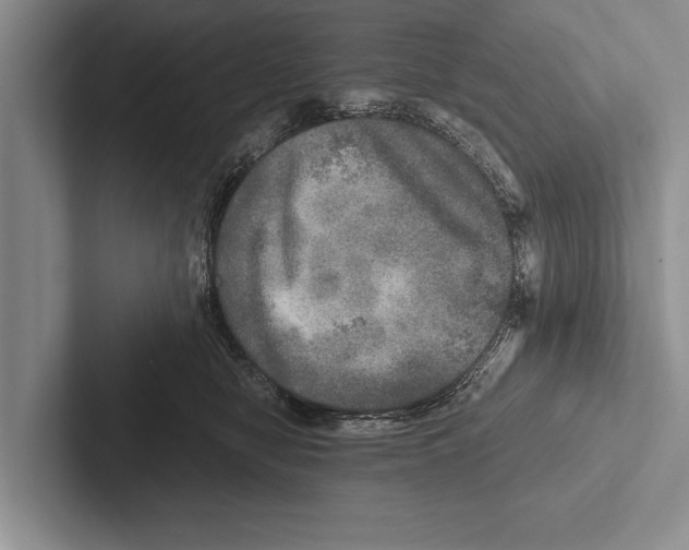 X0000102520470200809051447