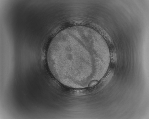 X0000102520472200809051447