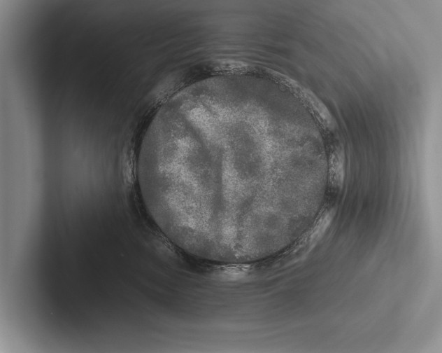 X0000102520474200809051447