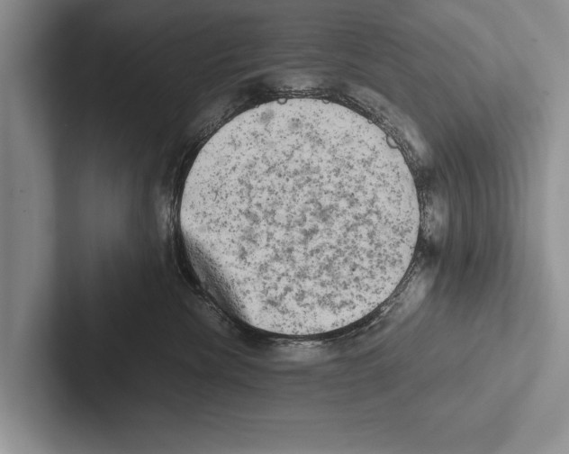 X0000102520476200809051447