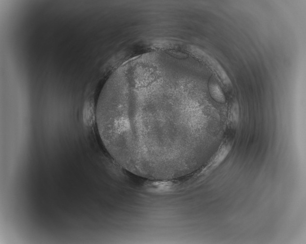 X0000102520478200809051447