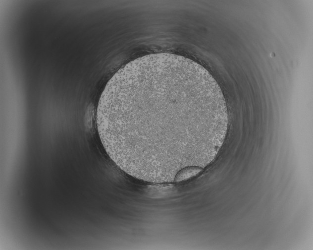 X0000102520480200809051447