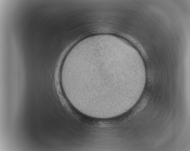 X0000102520481200809051446