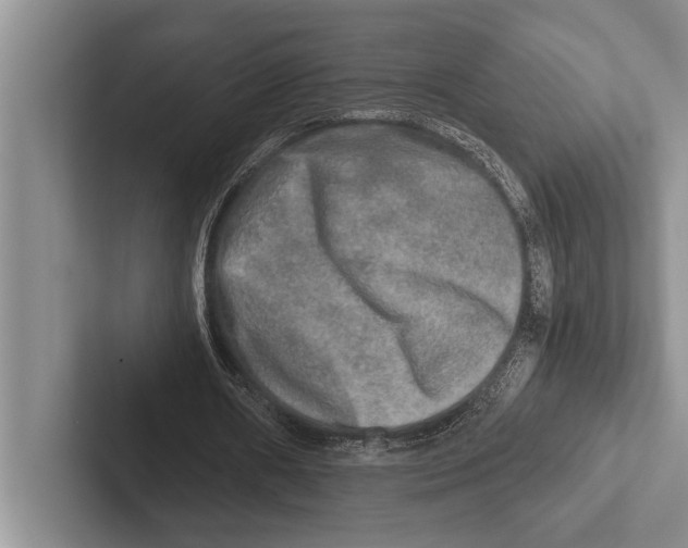 X0000102520482200809051446