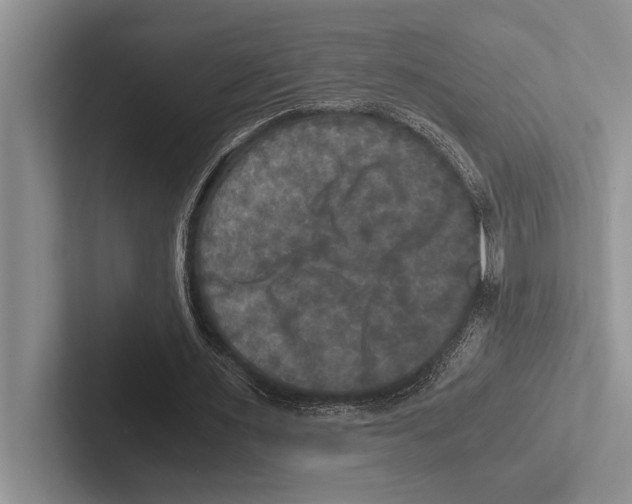 X0000102520483200809051446