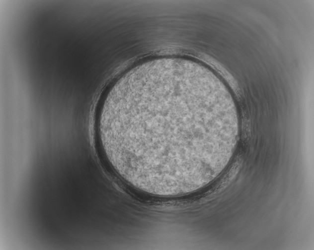 X0000102520485200809051446