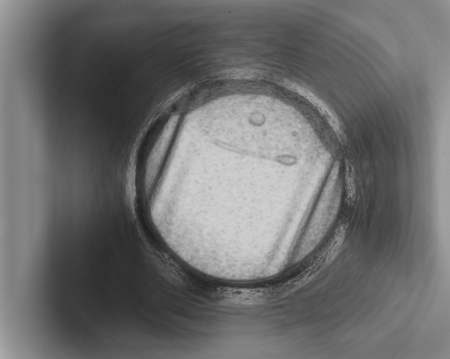 X0000102520486200809051446
