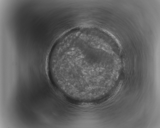 X0000102520487200809051446