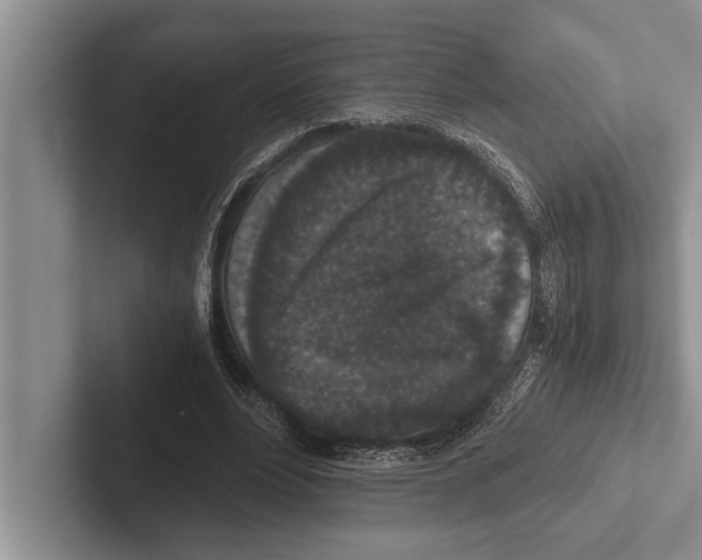X0000102520488200809051446