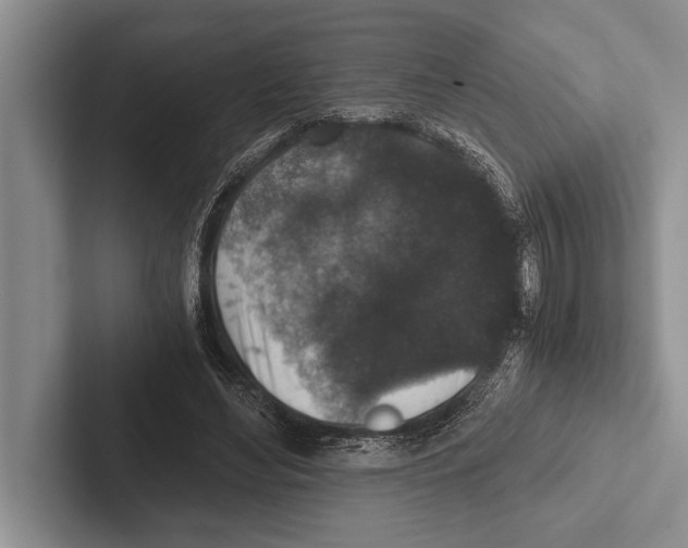 X0000102520492200809051446