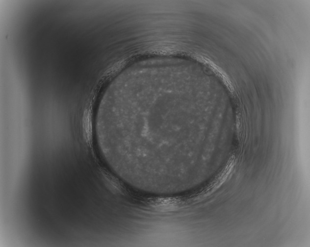 X0000102520493200809051446