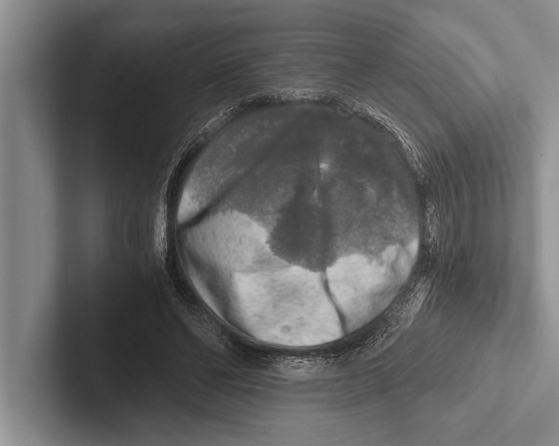 X0000102520494200809051446
