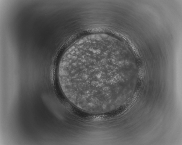 X0000102520495200809051446