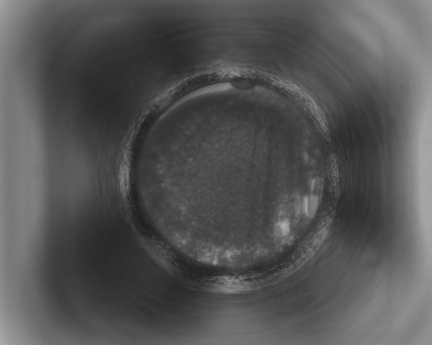 X0000102520496200809051446