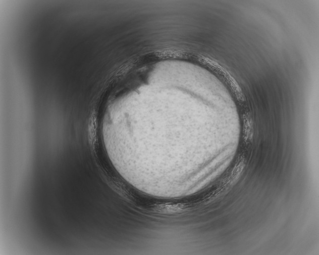 X0000102520498200809051446