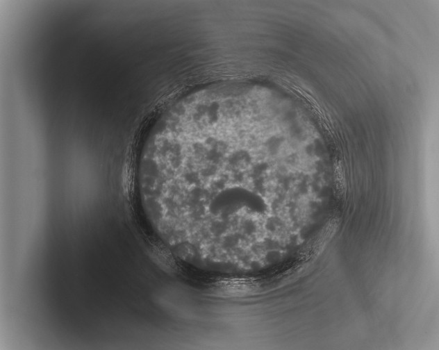 X0000102520499200809051446