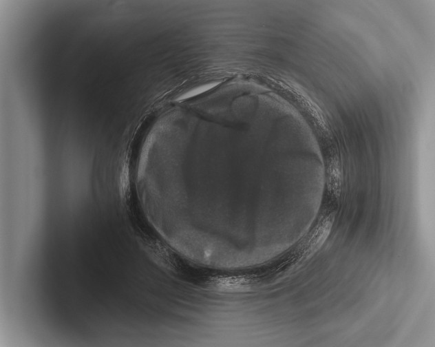 X0000102520500200809051446