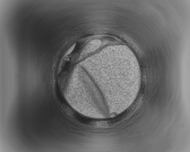 X0000102520501200809051446