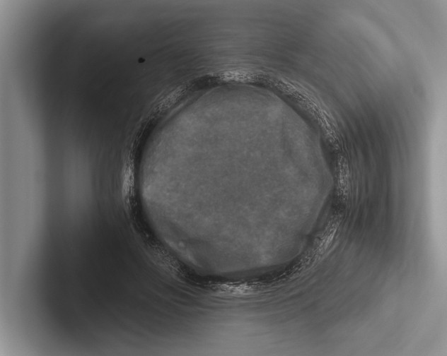 X0000102520502200809051446