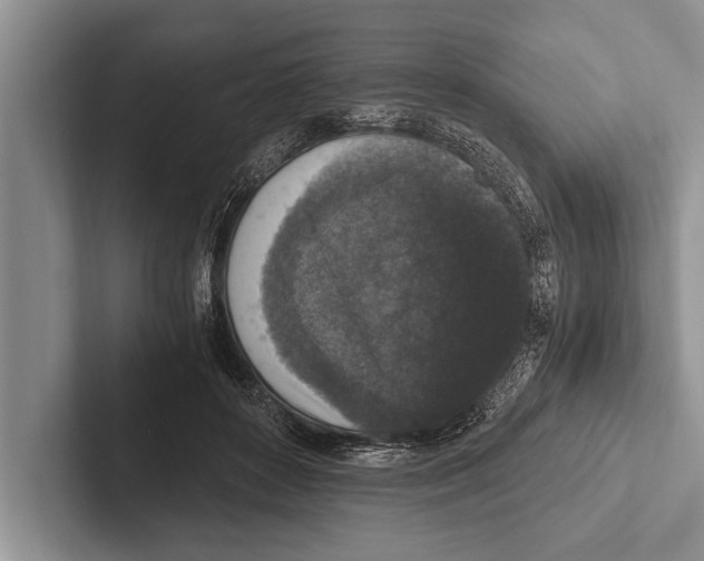 X0000102520504200809051446