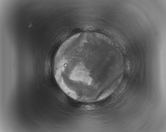 X0000102520506200809051446