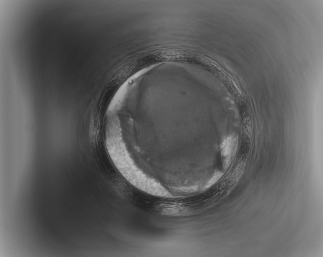 X0000102520507200809051446