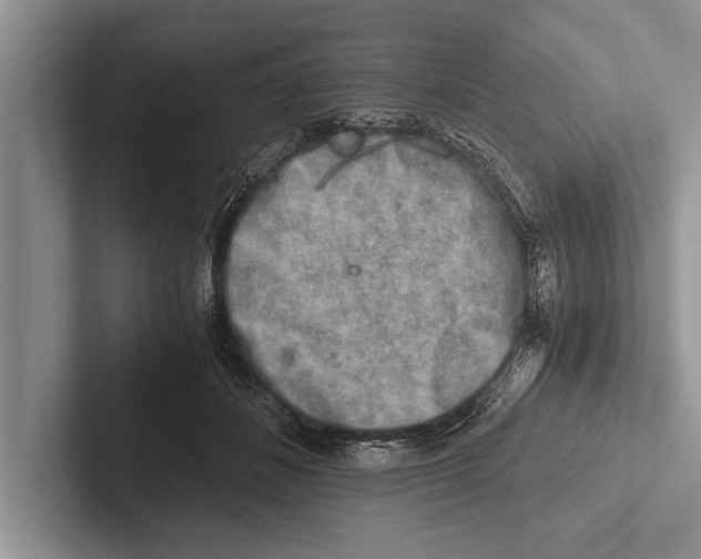 X0000102520508200809051446