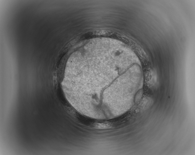 X0000102520510200809051446