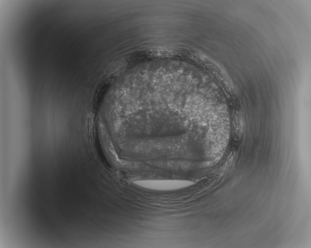X0000102520511200809051446
