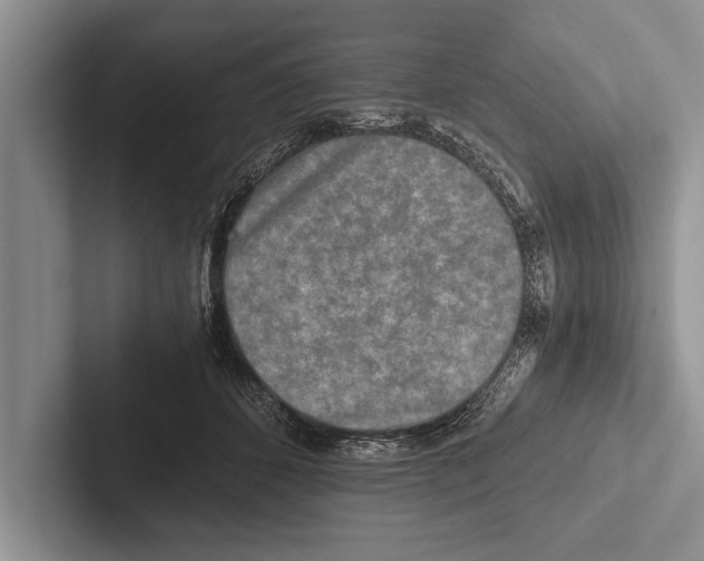 X0000102520512200809051446