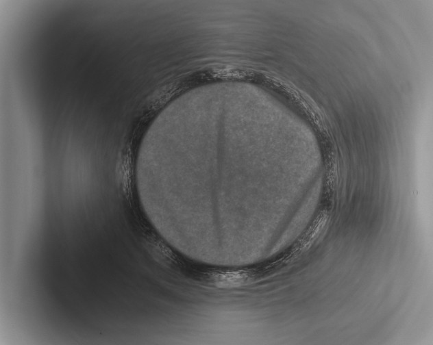 X0000102520513200809051446
