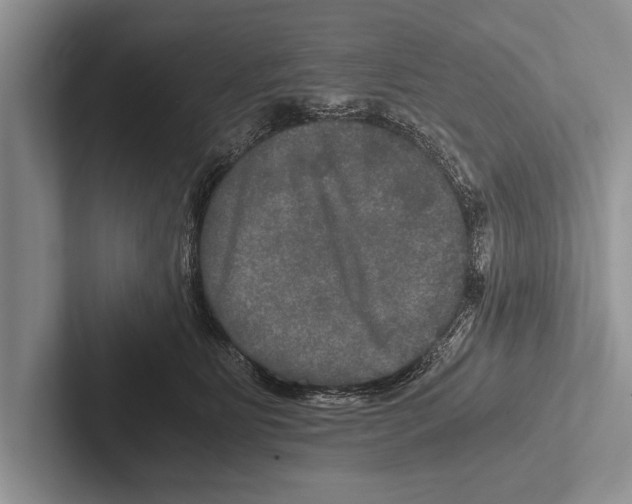 X0000102520515200809051446
