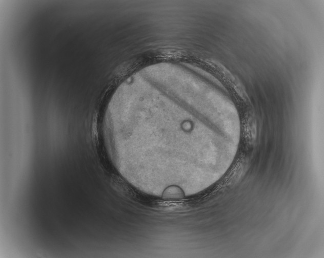 X0000102520516200809051446