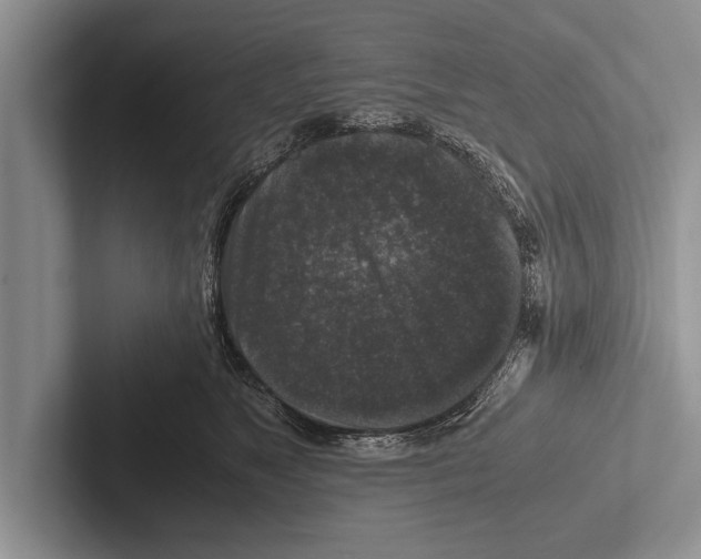X0000102520517200809051446