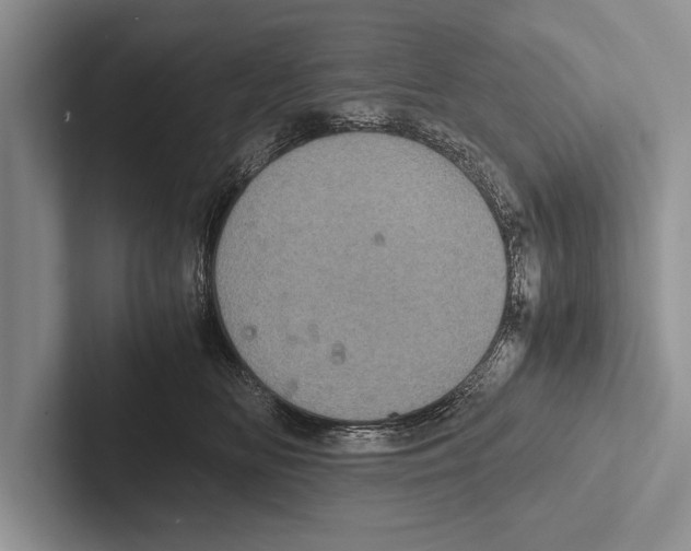 X0000102520518200809051446