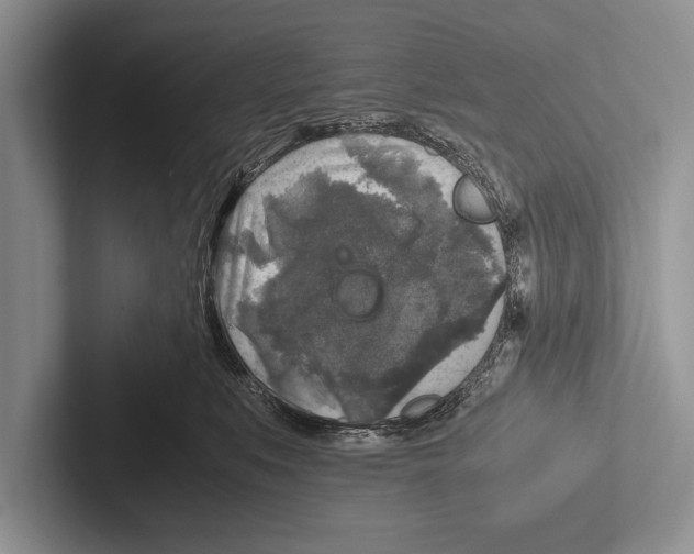 X0000102520519200809051446