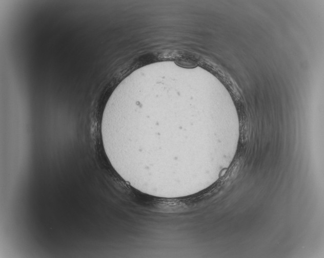 X0000102520521200809051446