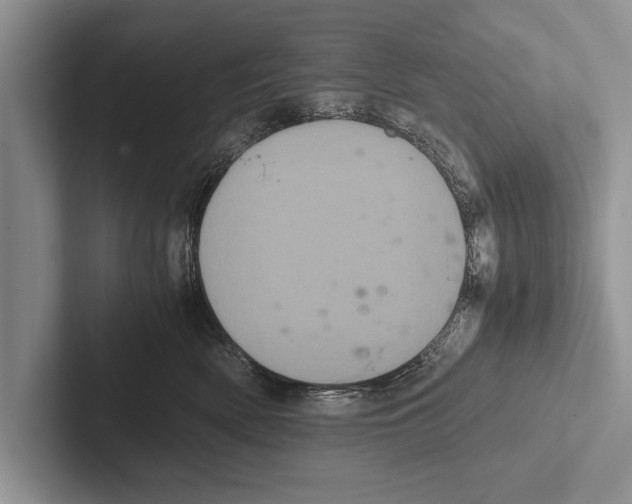 X0000102520522200809051446