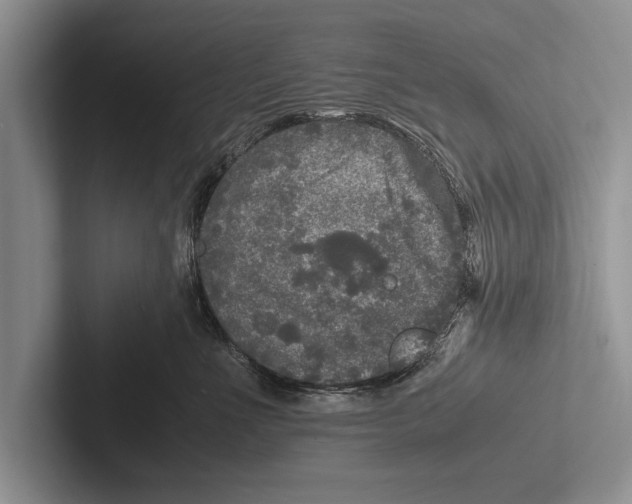 X0000102520523200809051446