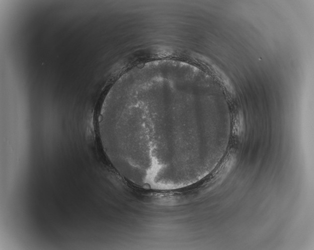 X0000102520524200809051446